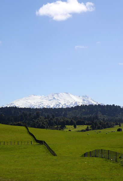 NOVÝ ZÉLAND - Sopka Ruapehu.JPG