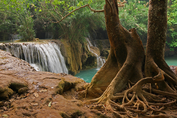 LAOS - KUANG SI - VODOPÁDY 2.jpg