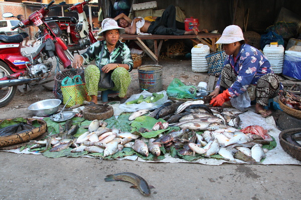 KAMBODŹA - NA TRHU V PHNOM PENHE.JPG