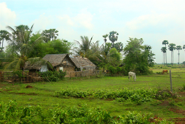 KAMBODŽA  - VIDIEK.jpg