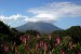 NIKARAGUA - Sopka Koncepcion na ostrove Ometepe.jpg